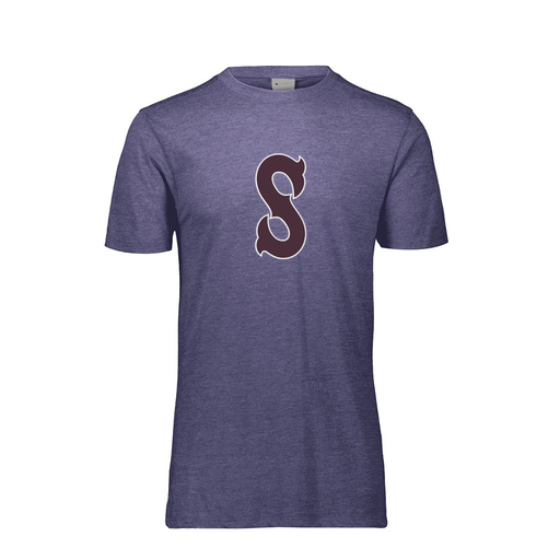 [FTSCUBRY-AS-LOGO1] Decker Men's Tri-Blend T-Shirt - Short Sleeve (Adult S, Royal, Logo 1)
